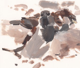 Dust bathing sparrows painting by Esther Tyson