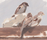 Farm sparrows painting by Esther Tyson