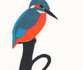 Kingfisher screenprint by Esther Tyson